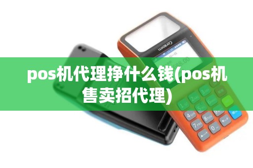 pos机代理挣什么钱(pos机售卖招代理)
