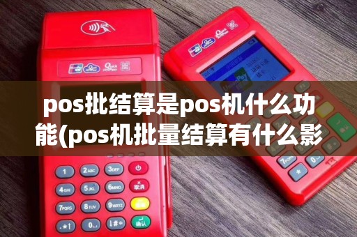pos批结算是pos机什么功能(pos机批量结算有什么影响)