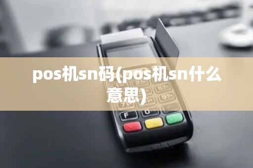 pos机sn码(pos机sn什么意思)