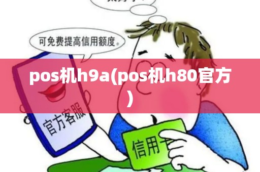 pos机h9a(pos机h80官方)