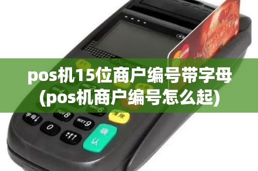 pos机15位商户编号带字母(pos机商户编号怎么起)