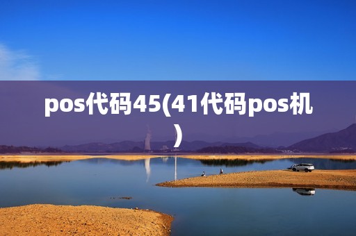 pos代码45(41代码pos机)