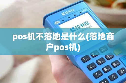 pos机不落地是什么(落地商户pos机)