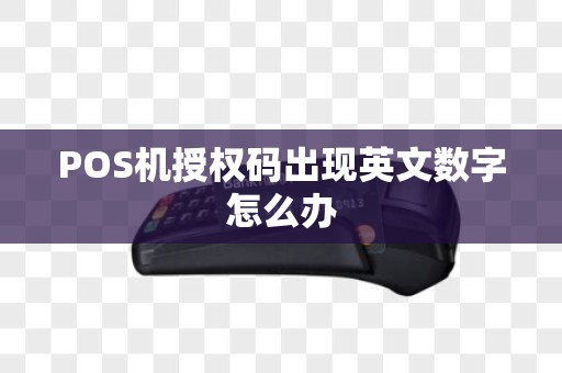 POS机授权码出现英文数字怎么办