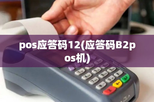 pos应答码12(应答码B2pos机)
