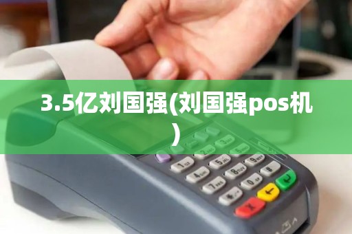 3.5亿刘国强(刘国强pos机)