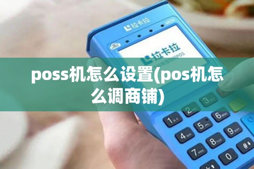 poss机怎么设置(pos机怎么调商铺)