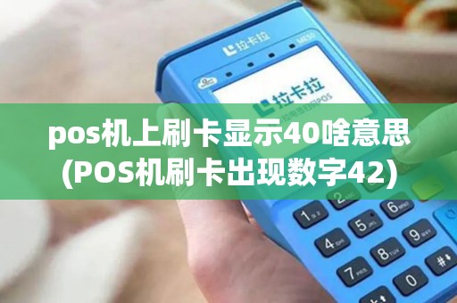 pos机上刷卡显示40啥意思(POS机刷卡出现数字42)