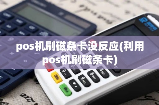 pos机刷磁条卡没反应(利用pos机刷磁条卡)