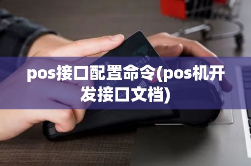 pos接口配置命令(pos机开发接口文档)