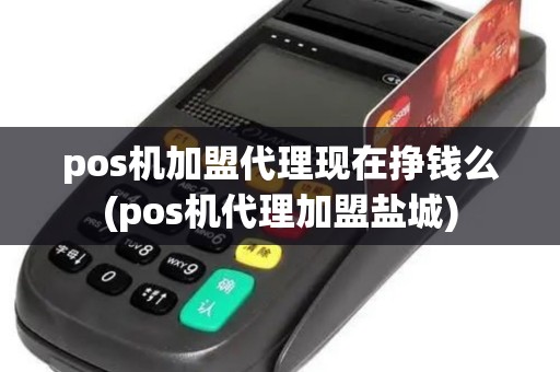 pos机加盟代理现在挣钱么(pos机代理加盟盐城)