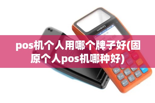 pos机个人用哪个牌子好(固原个人pos机哪种好)