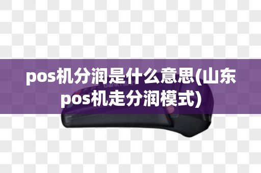 pos机分润是什么意思(山东pos机走分润模式)
