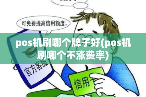 pos机刷哪个牌子好(pos机刷哪个不涨费率)