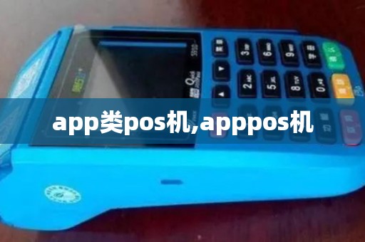 app类pos机,apppos机