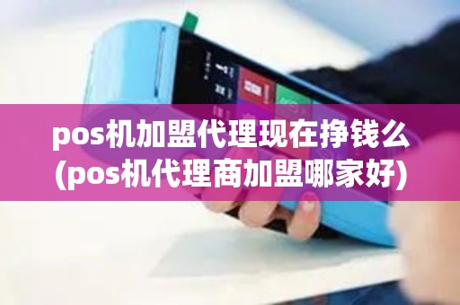 pos机加盟代理现在挣钱么(pos机代理商加盟哪家好)