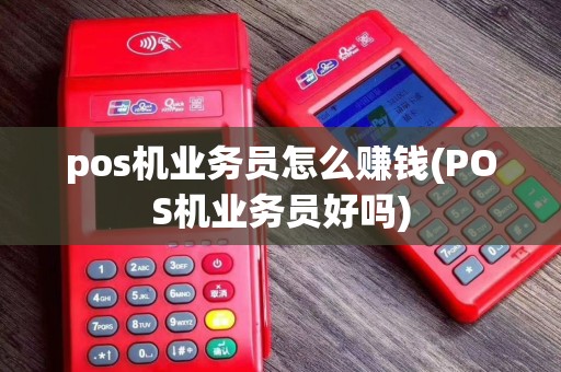pos机业务员怎么赚钱(POS机业务员好吗)
