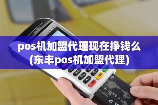 pos机加盟代理现在挣钱么(东丰pos机加盟代理)