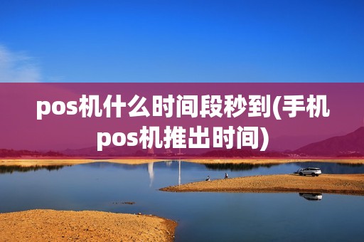 pos机什么时间段秒到(手机pos机推出时间)