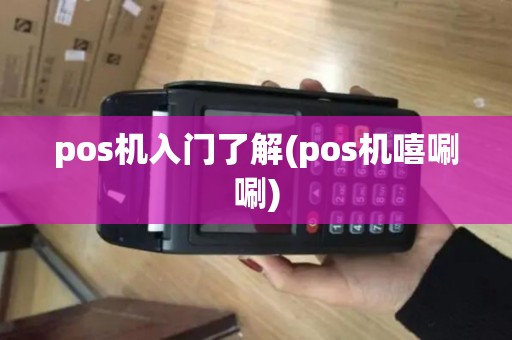 pos机入门了解(pos机嘻唰唰)