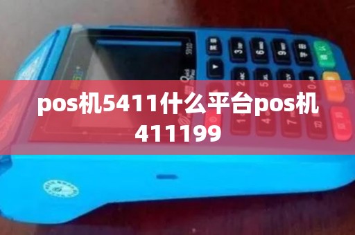 pos机5411什么平台pos机411199