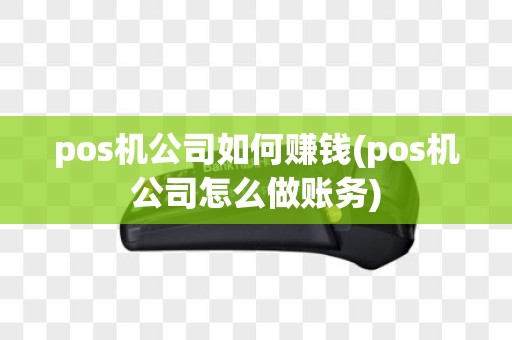 pos机公司如何赚钱(pos机公司怎么做账务)