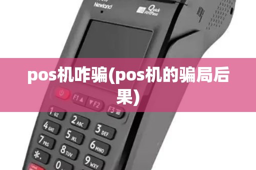 pos机咋骗(pos机的骗局后果)