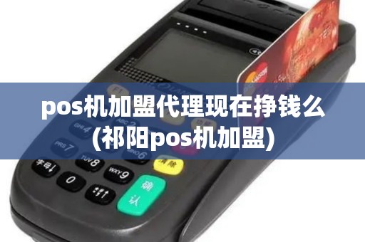 pos机加盟代理现在挣钱么(祁阳pos机加盟)