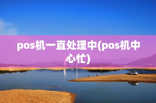 pos机一直处理中(pos机中心忙)