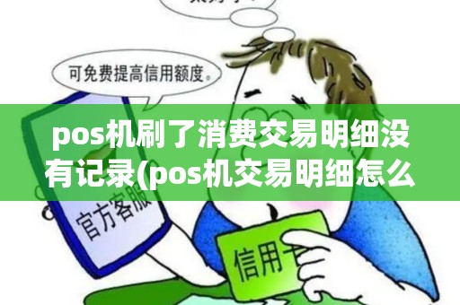 pos机刷了消费交易明细没有记录(pos机交易明细怎么删除不了)