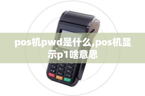 pos机pwd是什么,pos机显示p1啥意思
