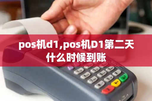 pos机d1,pos机D1第二天什么时候到账
