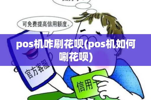 pos机咋刷花呗(pos机如何唰花呗)