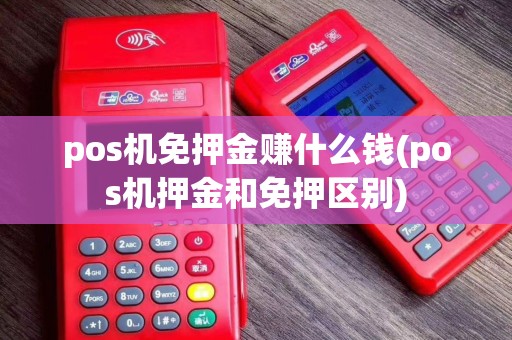pos机免押金赚什么钱(pos机押金和免押区别)
