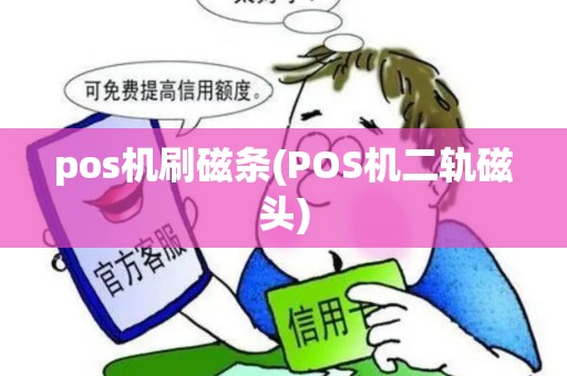 pos机刷磁条(POS机二轨磁头)