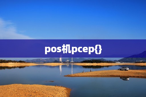 pos机pcep{}