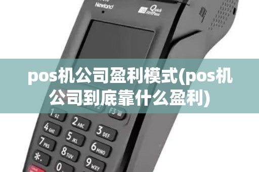 pos机公司盈利模式(pos机公司到底靠什么盈利)