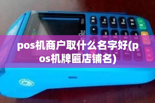 pos机商户取什么名字好(pos机牌匾店铺名)
