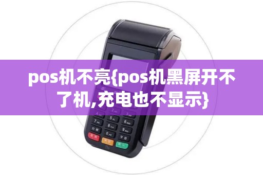 pos机不亮{pos机黑屏开不了机,充电也不显示}