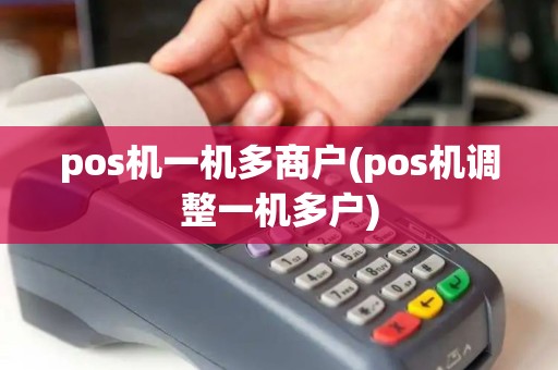 pos机一机多商户(pos机调整一机多户)