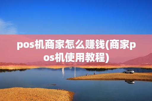 pos机商家怎么赚钱(商家pos机使用教程)