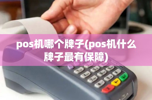 pos机哪个牌子(pos机什么牌子最有保障)