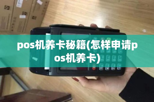 pos机养卡秘籍(怎样申请pos机养卡)