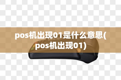 pos机出现01是什么意思(pos机出现01)