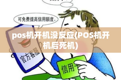 pos机开机没反应(POS机开机后死机)