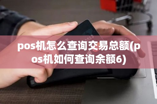 pos机怎么查询交易总额(pos机如何查询余额6)