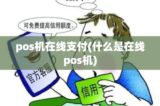 pos机在线支付(什么是在线pos机)