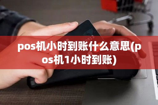 pos机小时到账什么意思(pos机1小时到账)