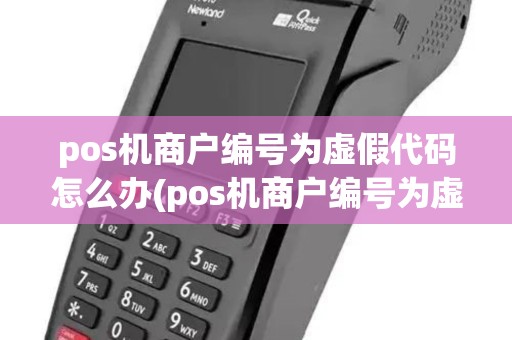 pos机商户编号为虚假代码怎么办(pos机商户编号为虚假代码)