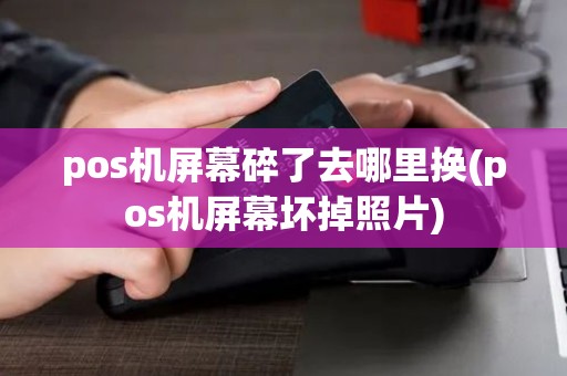 pos机屏幕碎了去哪里换(pos机屏幕坏掉照片)